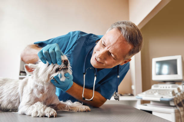 Best Dental Emergency Near Me  in Richland, GA