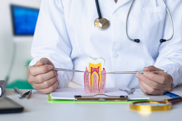 Best Tooth Infection Emergency Dentist  in Richland, GA